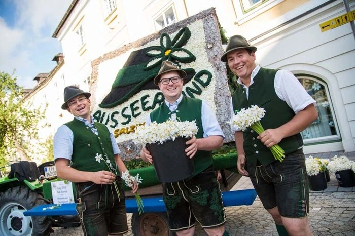 Hunderte Helfer steckten von gestern bis heute Früh die kunstvollen Blumenfiguren.
