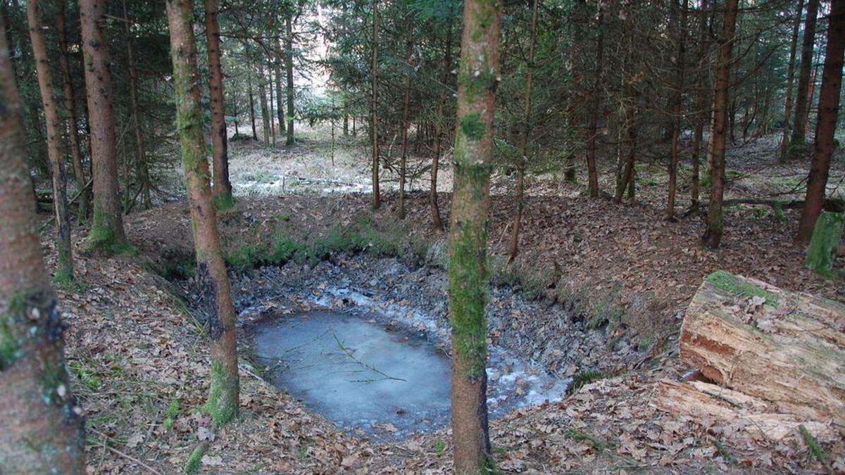 Das frühere Massengrab im Karwald bei St. Veit am Vogau