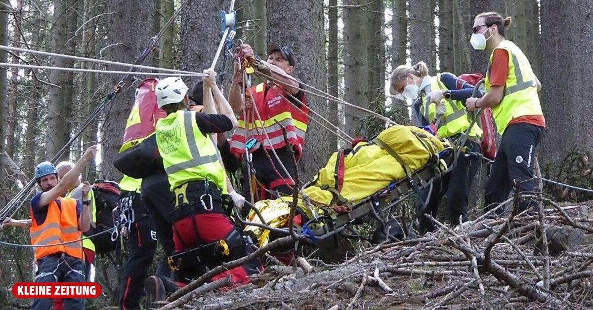 Thörl:Passant hörte Hilferufe: 40 Meter mit E-Mountainbike abgestürzt