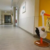 Der Storch fliegt künftig entweder Richtung Rottenmann oder Schwarzach