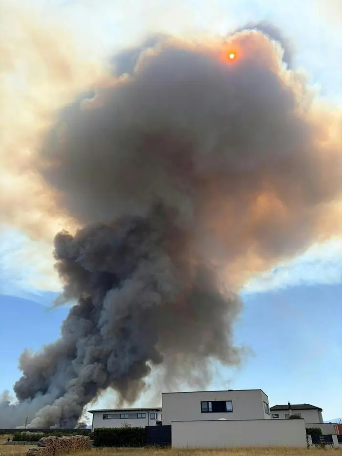 Im Föhrenwald in St. Egyden am Steinfeld (Bezirk Neunkirchen) ist am Freitag erneut ein Brand ausgebrochen