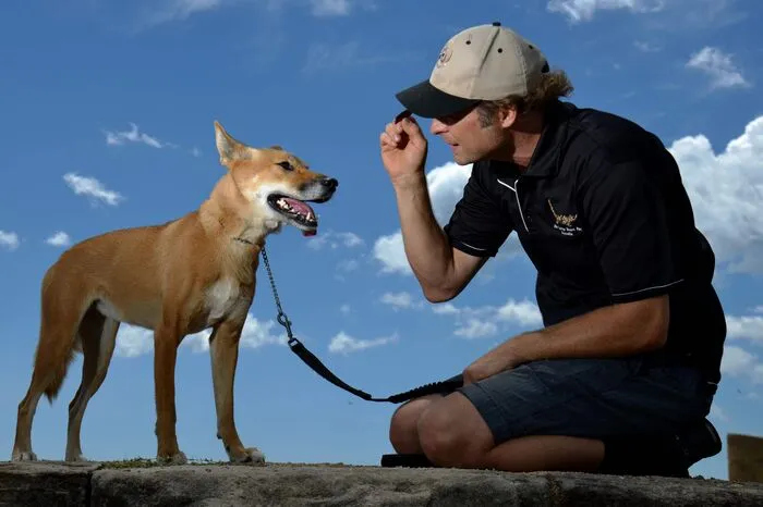 James Bornstein im Zwiegespräch mit "Kimba", einem Dingo.