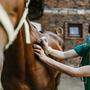 Manche Menschen nehmen Ivermectin in einer Dosierung zu sich, die etwa für Pferde gedacht ist. Das kann zu schwerwiegenden Nebenwirkungen führen.