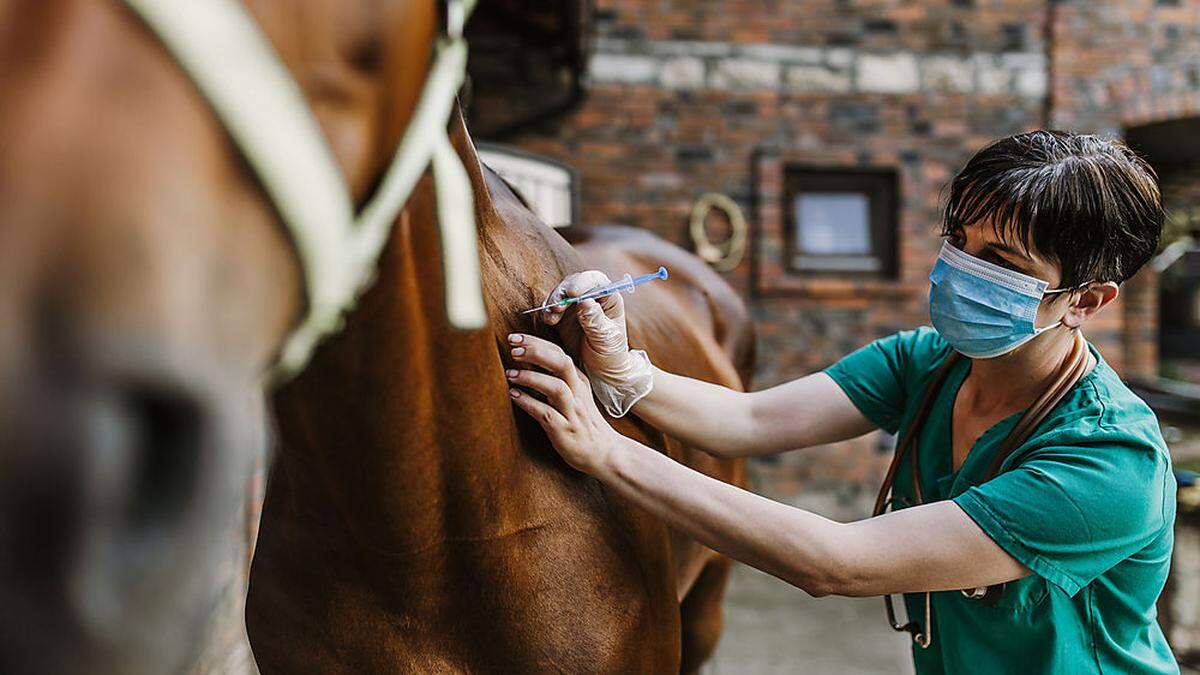 Manche Menschen nehmen Ivermectin in einer Dosierung zu sich, die etwa für Pferde gedacht ist. Das kann zu schwerwiegenden Nebenwirkungen führen.