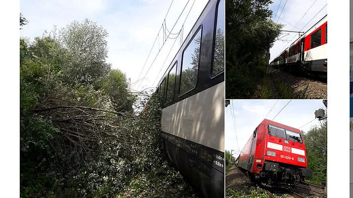 Ein umgestürzter Baum auf der Oberleitung ist der Grund für die Sperrung der #Rheintalbahn, twitterte die Polizei
