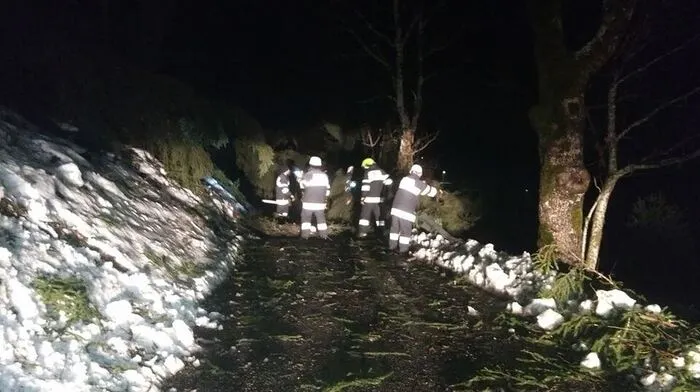 Wegen starker Sturmböen haben Einsatzkräfte in Kärnten alle Hände voll zu tun.