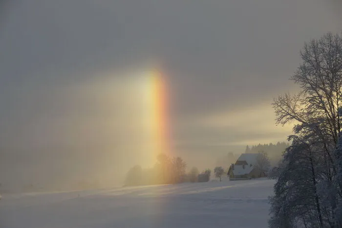Die Sonne kämpft sich durch den winterlichen Nebel... Fotografiert von Elisabeth Gruber aus Kobenz.