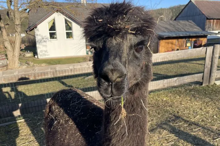 Klicken Sie sich durch weitere Bilder...