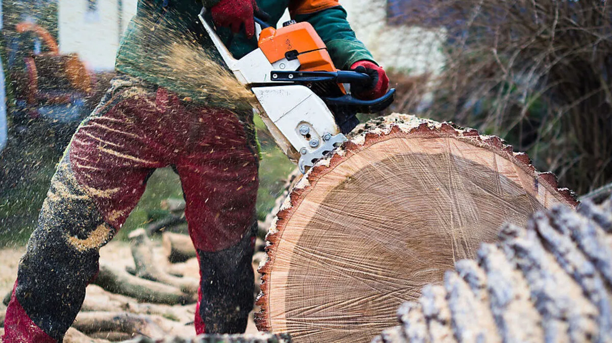 Eine Benzinmotorsäge wurde gestohlen (Symbolbild)