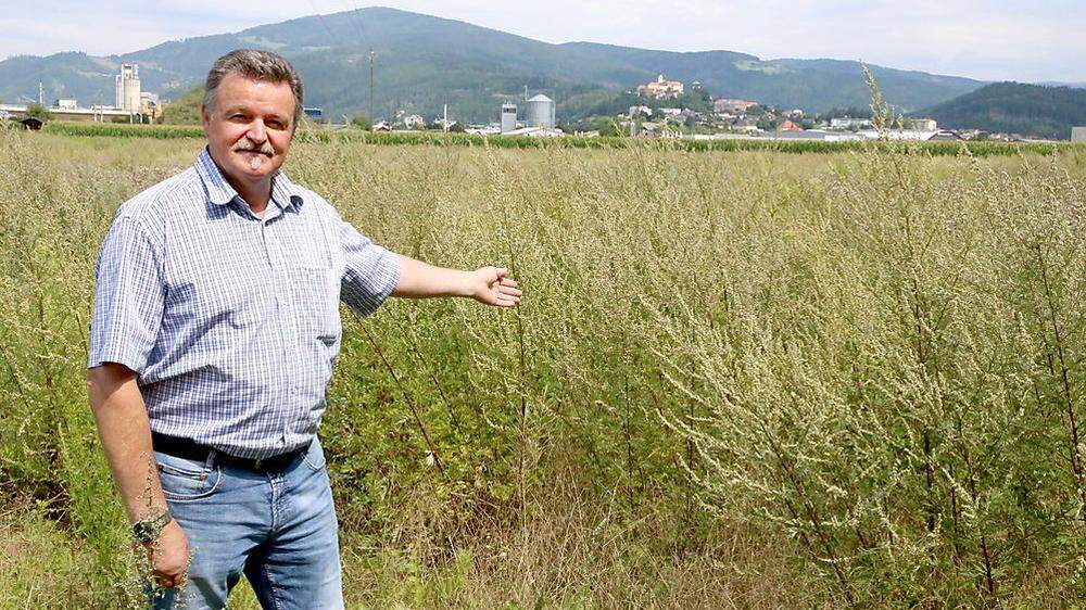 Klaus Trampitsch zeigt das Grundstück, auf dem die Kleingartensiedlung entstehen soll