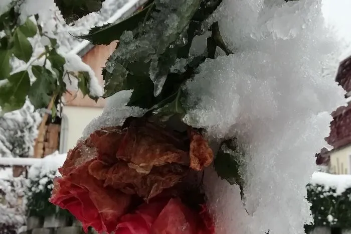 Der Schnee ließ tolle Gebilde entstehen