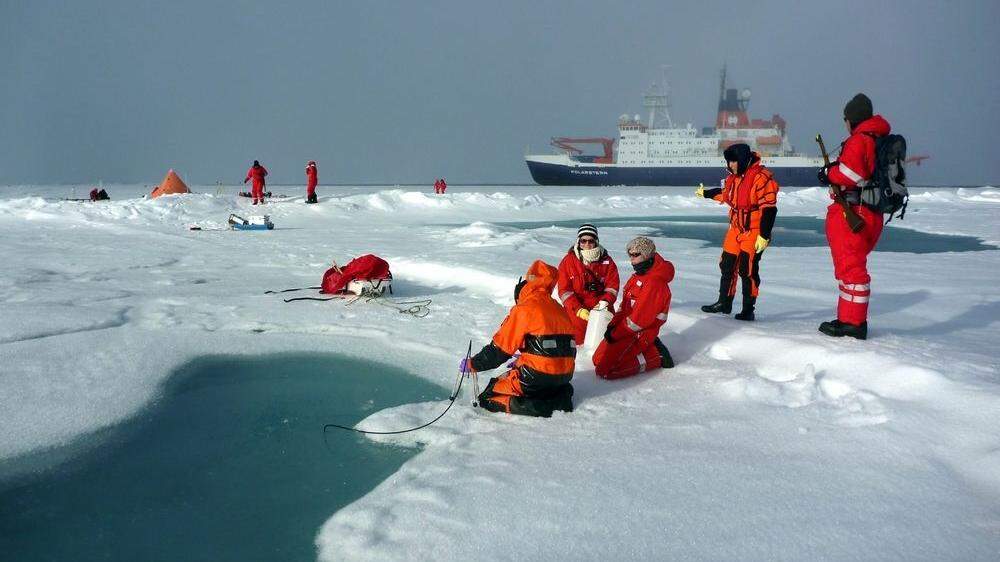 Das Alfred-Wegener-Institut erforscht seit Jahren die Umweltsituation in der Arktis 