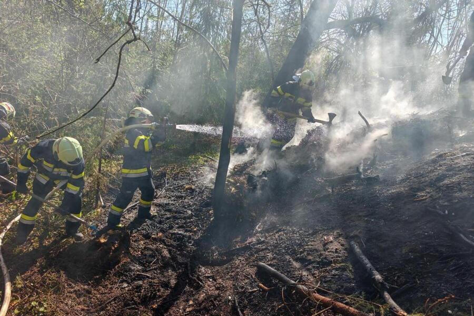 In Mortantsch bei Weiz: 300 m² Waldboden brannten: Feuerwehr rückte mit fünf Fahrzeugen aus