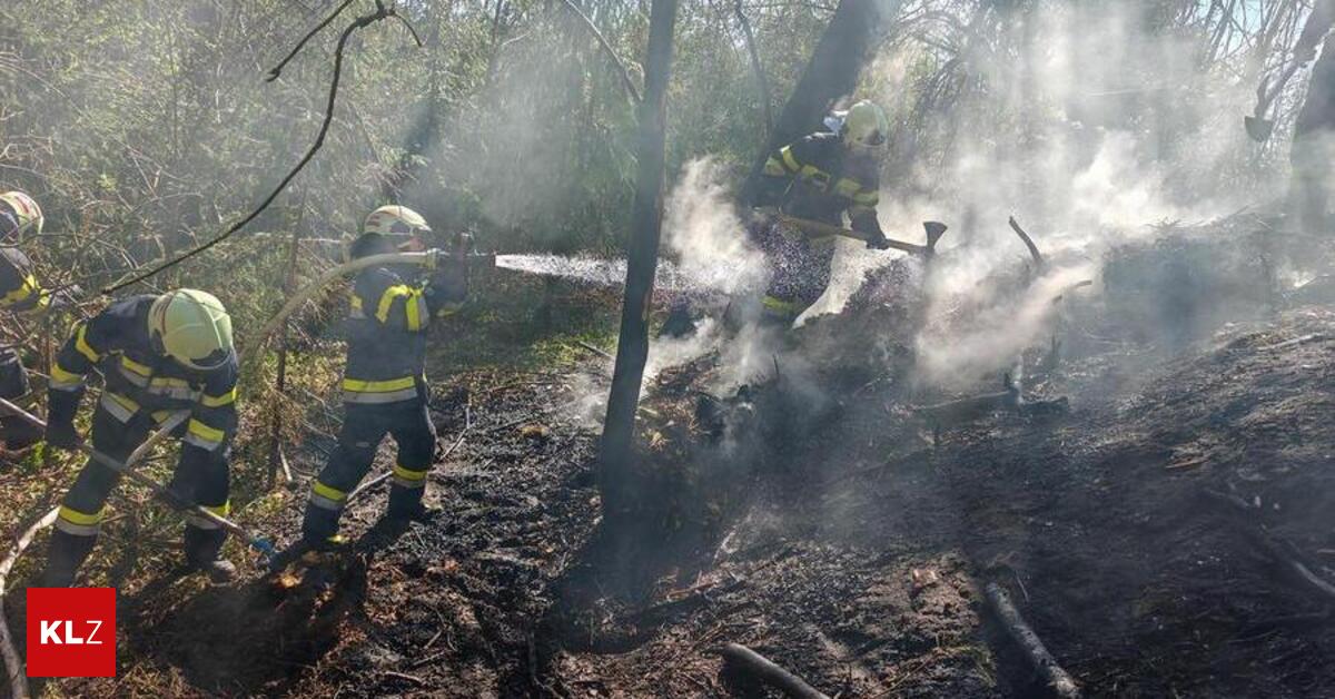 In-Mortantsch-bei-Weiz-300-m-Waldboden-brannten-Feuerwehr-r-ckte-mit-f-nf-Fahrzeugen-aus