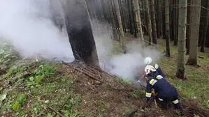 Die Einsatzkräfte konnten den Brand in kurzer Zeit löschen