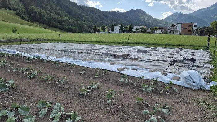 Unter dieser Abdeckung verbergen sich fertige Beete ...