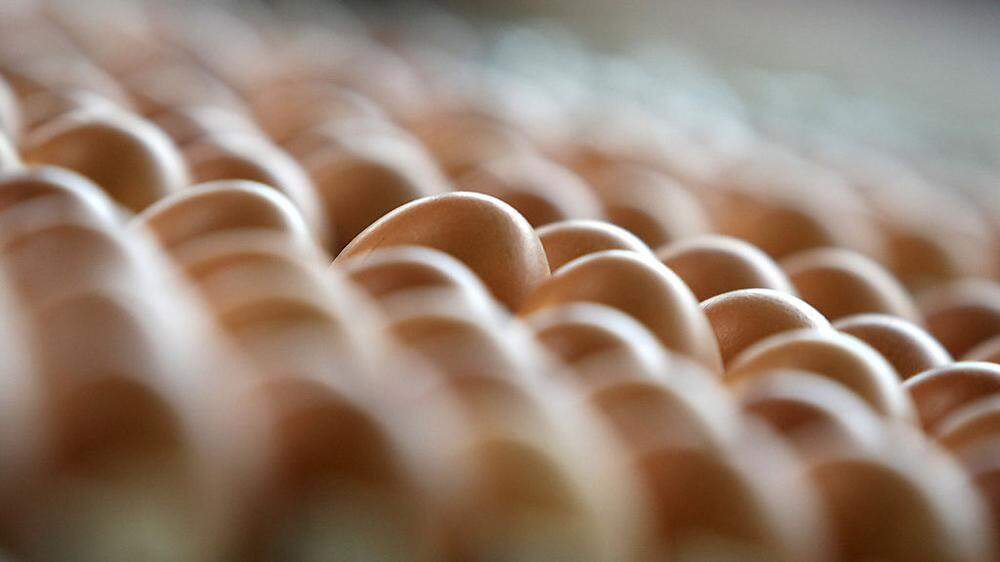 Kunden sollen die betroffenen Eier nicht verzehren