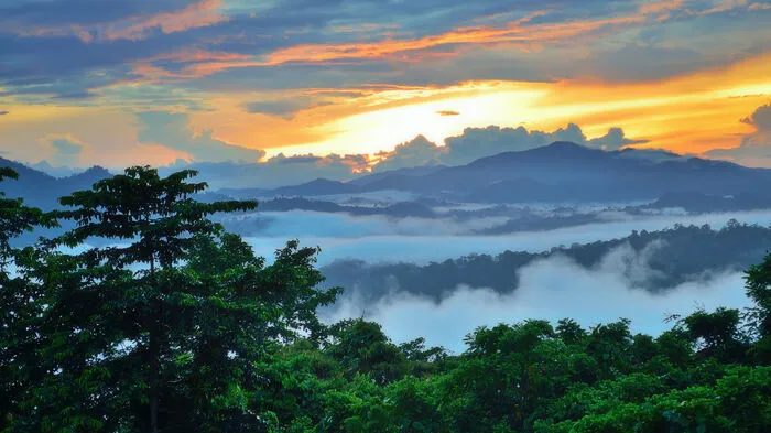 Borneo in Südostasien lockt nicht nur mit einer vielfältigen Tierwelt, sondern auch mit üppiger Natur, langen Sandstränden und geheimnisvollen Höhlen. Das Borneo-Abenteuer lässt sich am besten in der quirligen Stadt Kuching starten, bevor man in die Natur der Insel eintaucht.