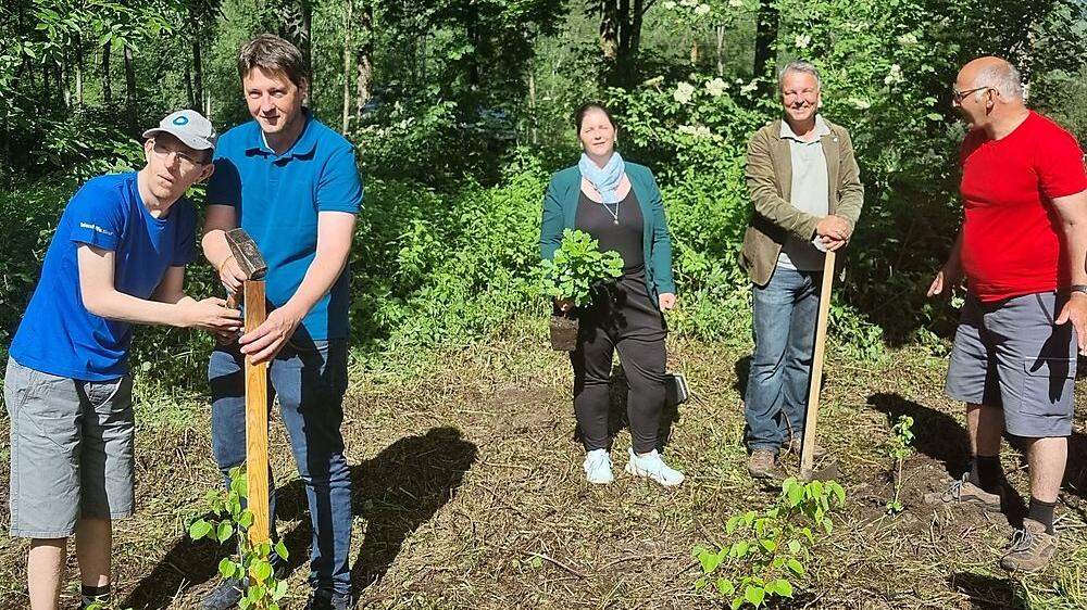 Auch Olga Reisner und Erich Gollmitzer unterstützten die Klienten beim Bäumepflanzen 