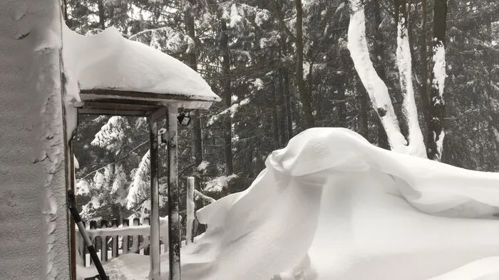 Unsere Leserin, Bianca Hackl, hat uns diese wunderschön verschneite Winterlandschaft vom Präbichl geschickt. 