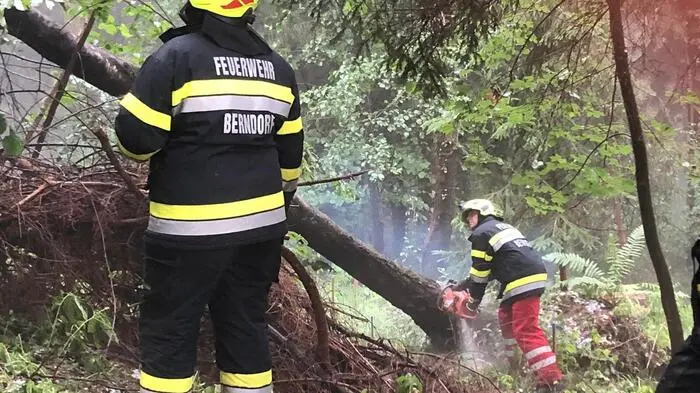 Mehr als 100 Feuerwehrleute waren am Sonntagabend in Graz-Umgebung im Einsatz.