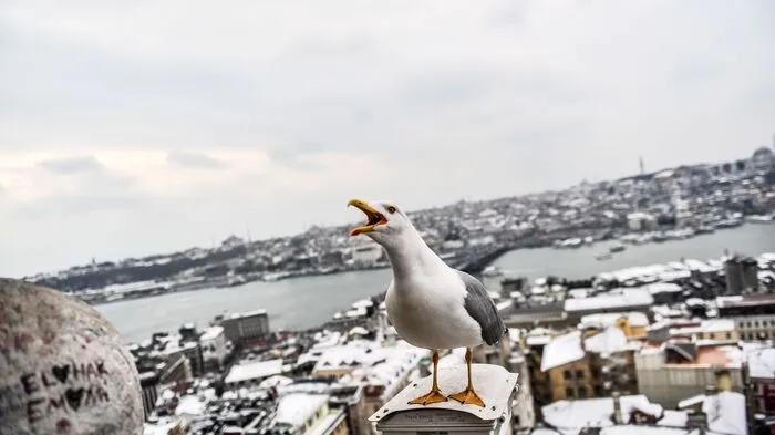 Ein Blick über die schneebedeckten Dächer Istanbuls am 1. März - dem meteorologischen Frühlingsbeginn. Vom Norden bis in den Süden hält sibirische Kälte den Kontinent im Griff.