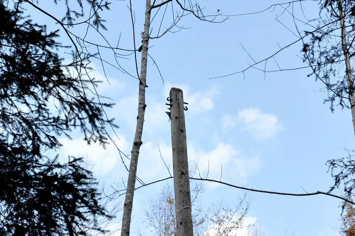 Kein Telefonkabel am Masten