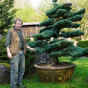 Seeboden: Bonsai Museum