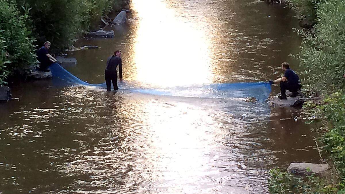 Die Feuerwehrleute beim Durchsieben des Flusses