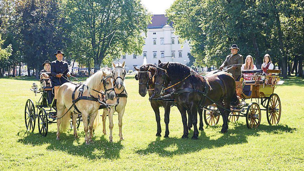 Der 3. Teilbewerb Kärntencup findet im Spittaler Stadtpark statt