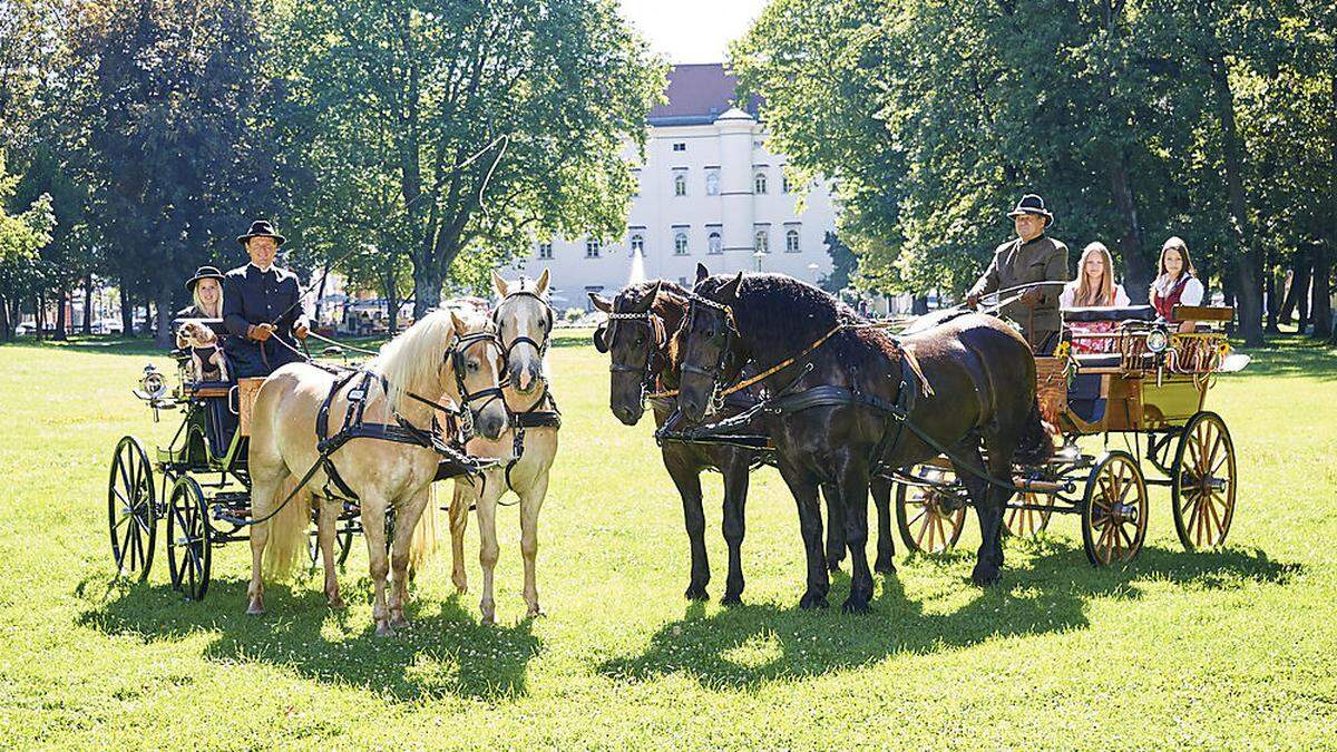 Der 3. Teilbewerb Kärntencup findet im Spittaler Stadtpark statt