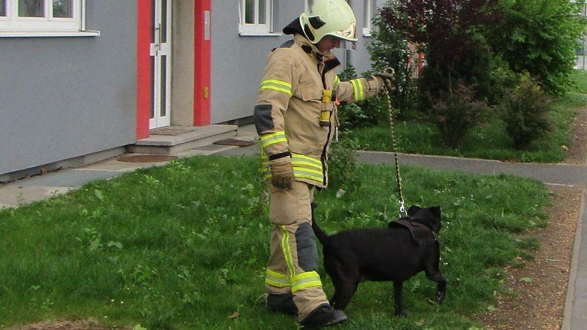 Die Berufsfeuerwehr brach eine versperrte Tür auf und rettete einen Hund aus der Wohnung