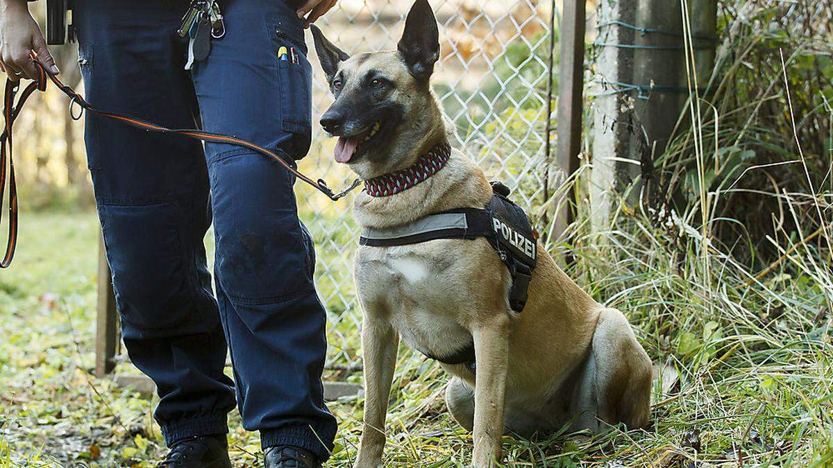 Bald sollen Polizeihunde auch Menschen erschnüffeln können