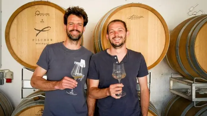 Klaus und Bernhard Fischer vom Bio-Weingut Fischer sind „Bio-Newcomer“ des Jahres 2026