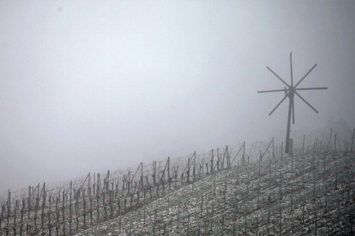 Alois Rumpf hielt mit seiner Kamera einen vernebelten Wintervormittag in St. Stefan ob Stainz fest