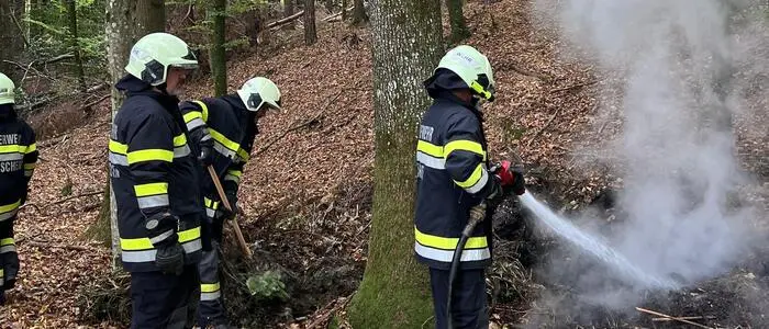 Die Feuerwehrleute konnten die Brandstelle rasch ablöschen