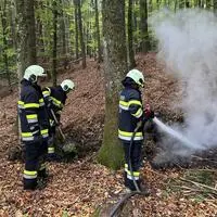 Die Feuerwehrleute konnten die Brandstelle rasch ablöschen