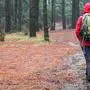 Hiking in rain. Hiker walking on pine forest path on rainy day wearing raincoat