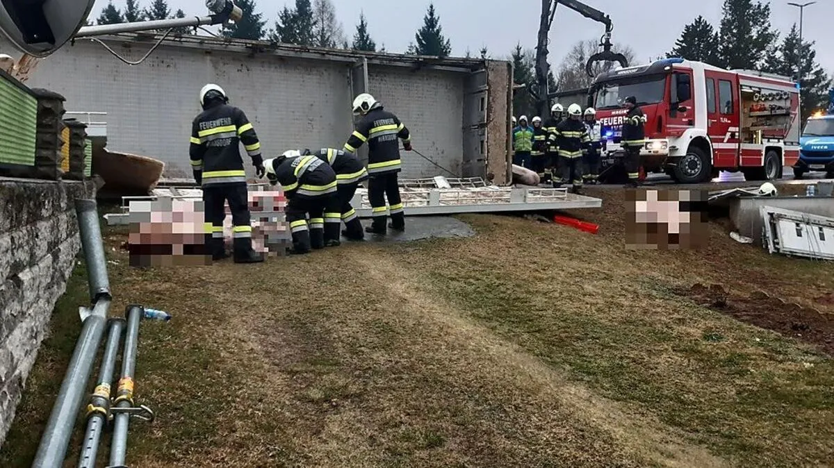 Teilweise mussten die Tiere notgschlachtet werden