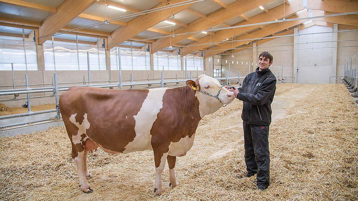 Das Rinderzuchtzentrum in Traboch ist seit Juni 2016 in Betrieb