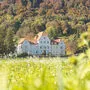 Wie geht es weiter in Alt-Grottenhof