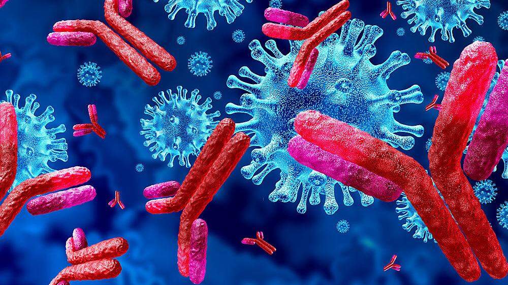Antikörper helfen dabei, das Virus im Körper zu bekämpfen 
