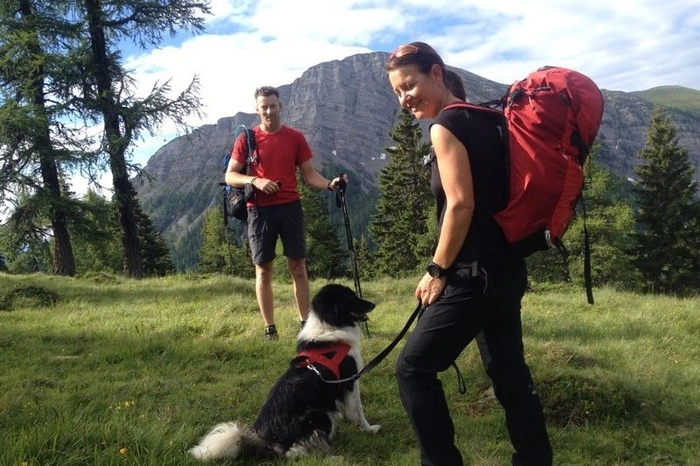 Border Collie "Pan" ist für Doris Matha oft ein Begleiter.