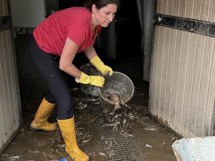 Eva Maria Igler beim „Fischeklauben“ im Bruthaus in Kalwang vor einer Woche