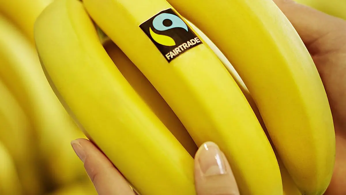 Die Sörger Schüler beschäftigen sich mit fairem Handel 