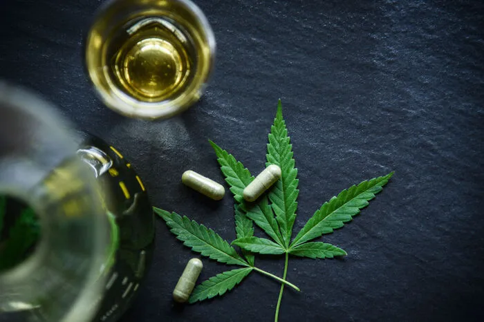 Dem Stoff werden positive Eigenschaften zugeschrieben. CBD soll unter anderem appetitanregend, entzündungshemmend, angstlösend,beruhigend und schmerzlindernd wirken.Die Weltgesundheitsorganisation (WHO) stuft CBD als gesundheitlich unbedenklich ein. Bis jetzt gibt es eine bewiesene Wirkung bei einer bestimmten Epilepsie-Form. Eine wissenschaftliche Studie, die sich umfangreich mit der medizinischen Wirkung von CBD auseinandergesetzt hat, gibt es allerdings noch nicht.