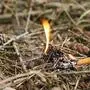 Offenes Feuer kann bei Trockenheit Waldbrände verursachen