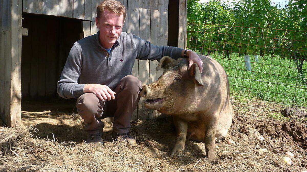 Am Kogelberg im Bezirk Leibnitz fühlen sich Werner Paulitsch und die rund 30 Schweine sichtlich wohl