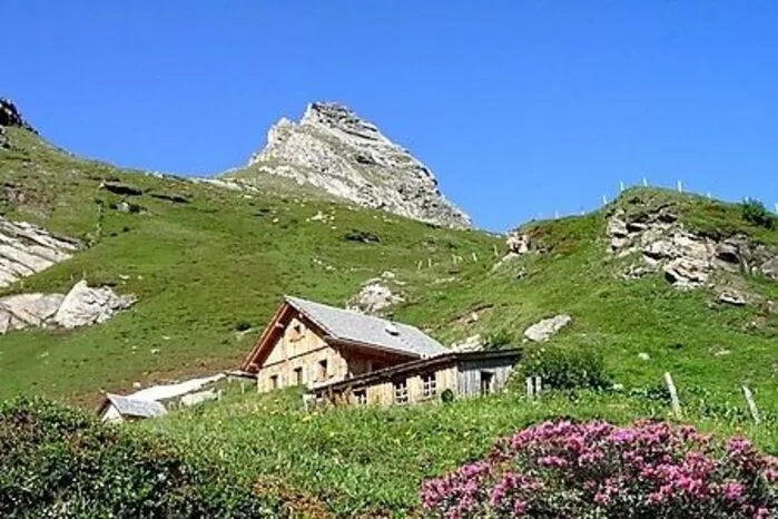 1208 Meter: Camping Ramsbacher in Rennweg am Katschberg hat für jeden etwas zu bieten: Im Winter bringt z.B. der kostenfreie Bus die Saisonsportler direkt ins Herz des Snowboarder- und Skifahrer-Paradies. Gleichzeitig ist für Langläufer eine Loipe nur wenige Meter vom Campingplatz entfernt. Für Camper mit Wohnmobil und Wohnwagen gibt es in der kalten Jahreszeit Stellplätze mit einer Fläche von mindestens 100 m2. Sobald es wärmer wird, lädt das Hochgebirge zu ausgedehnten Spaziergängen und Mountainbiketouren ein. Auch ein Skatepark sowie ein beheiztes Schwimmbad sorgen für Erholung und machen den Sommerurlaub zu einem sportlich abwechslungsreichen Erlebnis.