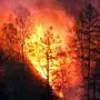 Russia Siberia Wildfire 8688245 19.05.2024 A view shows a forest fire in the East Siberian taiga on the banks of the Yenisei River, in the Krasnoyarsk region, Russia. Ilya Naymushin / Sputnik Krasnoyarsk region Russia PUBLICATIONxINxGERxSUIxAUTxESTxLTUxLATxNORxSWExDENxNEDxPOLxUKxONLY Copyright: xIlyaxNaymushinx